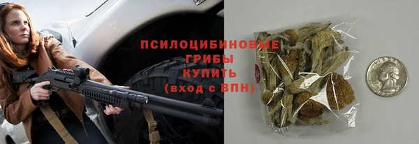 эйфоретик Алексин
