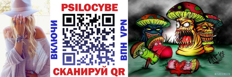 Псилоцибиновые грибы мицелий Порхов